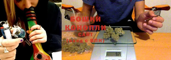 молекула духа Богданович