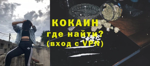 молекула духа Богданович
