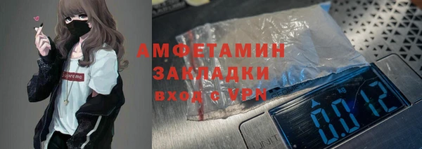молекула духа Богданович