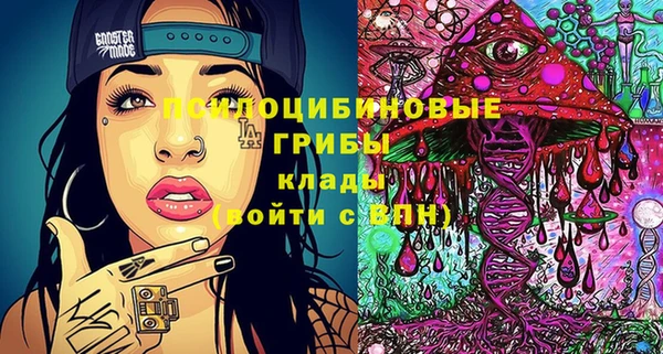 молекула духа Богданович