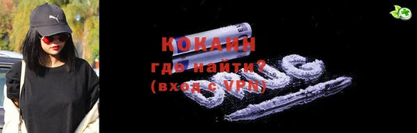 молекула духа Богданович