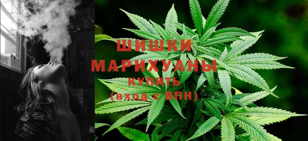 молекула духа Богданович