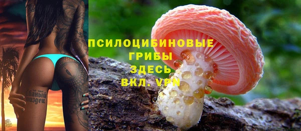 спайс Богородицк