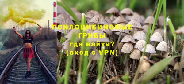 молекула духа Богданович