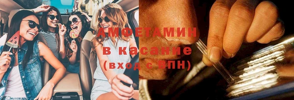 молекула духа Богданович