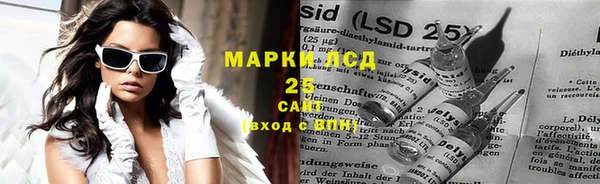 молекула духа Богданович