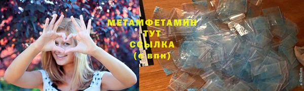 молекула духа Богданович