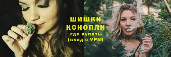 молекула духа Богданович