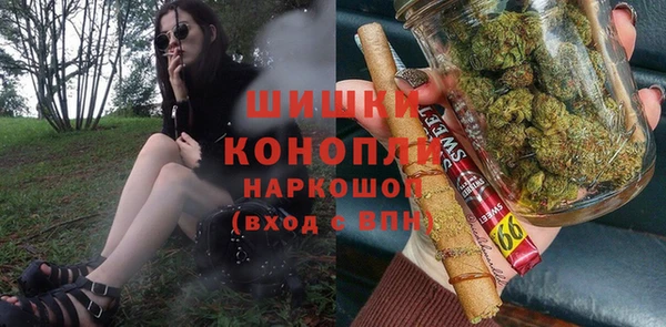 молекула духа Богданович